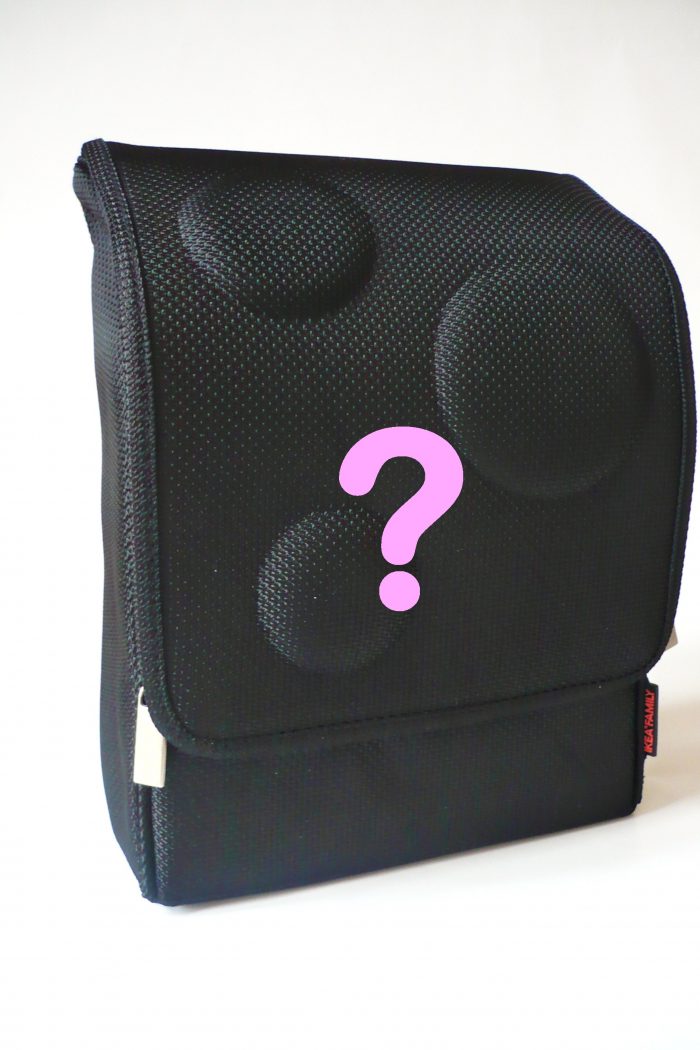 Wenn`s Bienchen eine Reise tut…