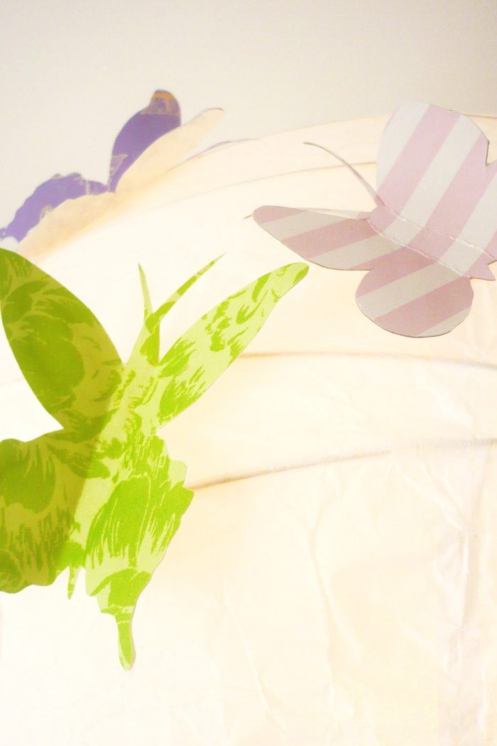 …und war ein wunderschöner `metterling!