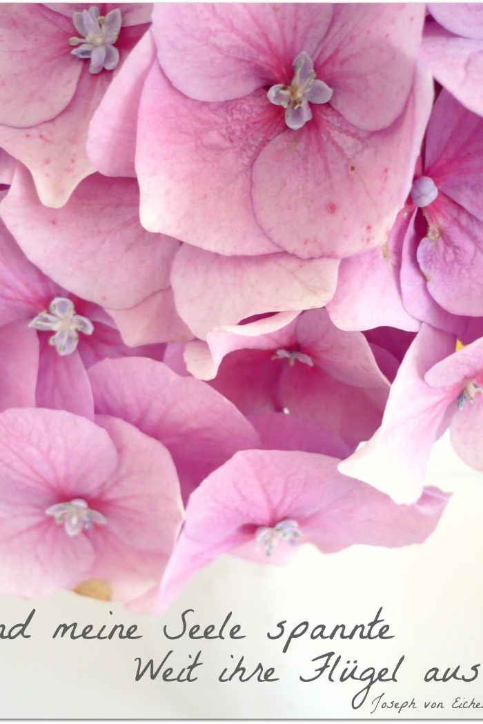 AHA-Momente die man garantiert nicht mehr vergisst…