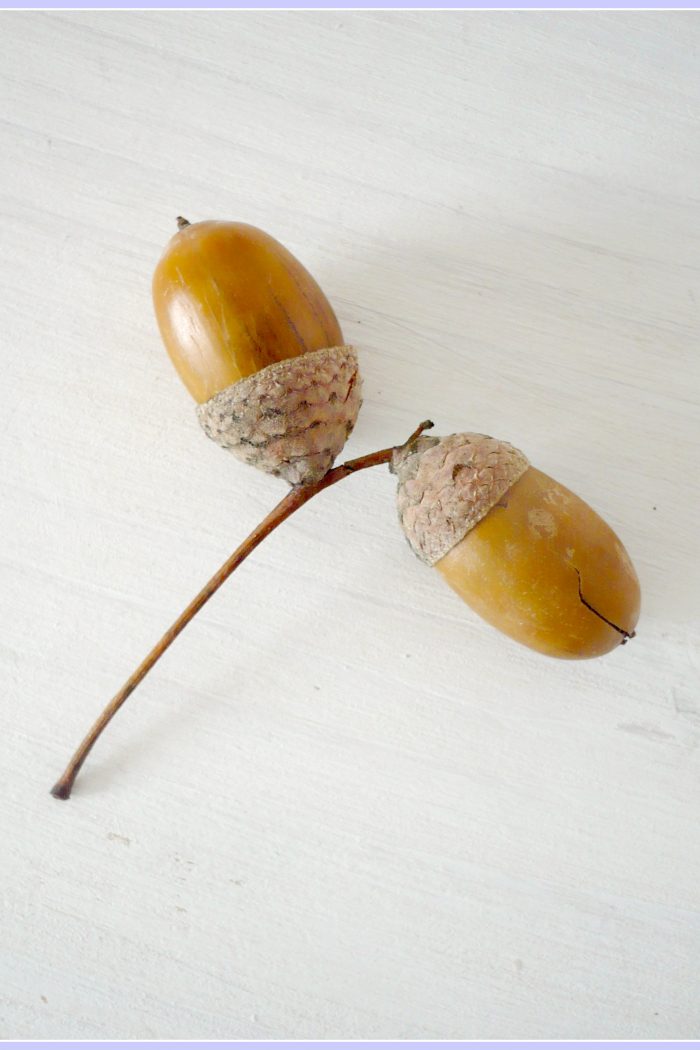 Die längste Warteschleife meines Lebens + GEWINNERIN