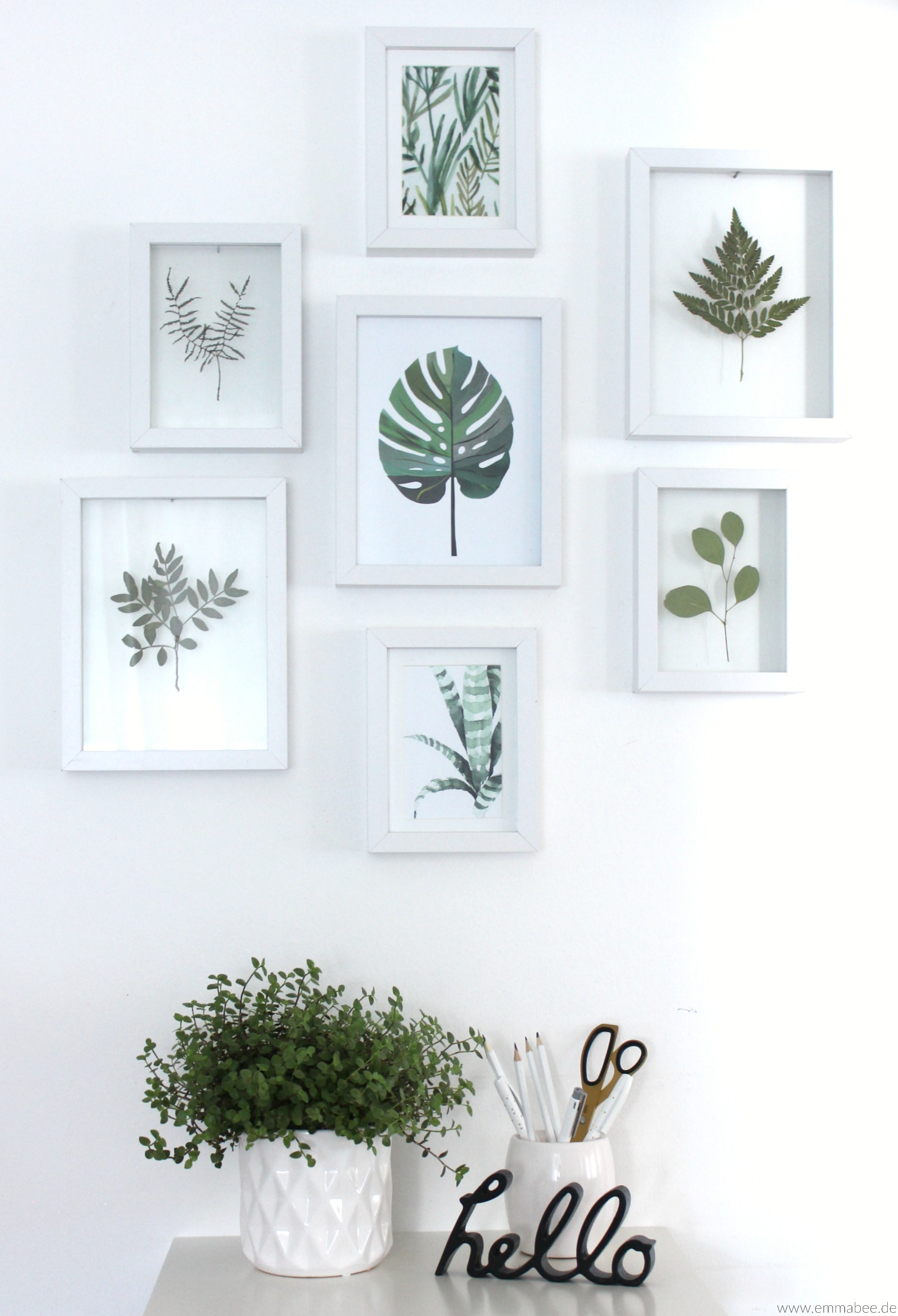 Diy Floating Frames Fur Deine Gepressten Blumen Und Blatter Emma Bee